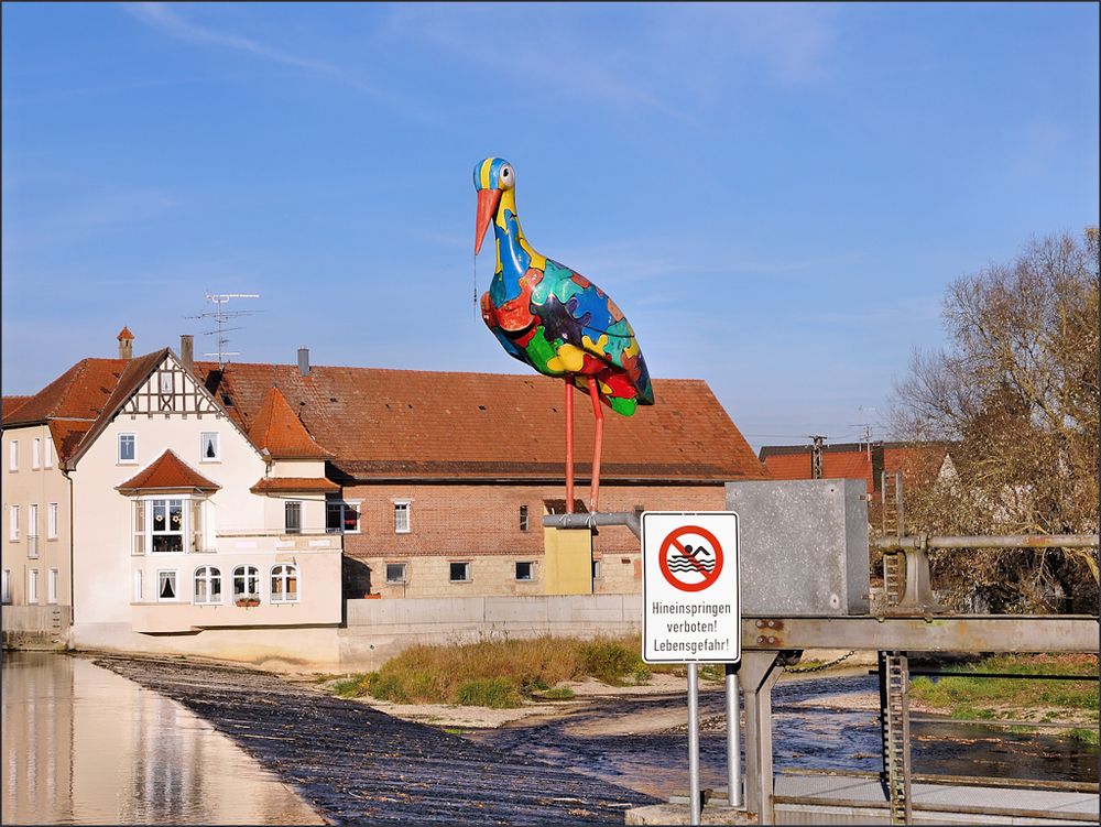 Storch in Riedlingen
