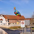 Storch in Riedlingen