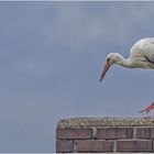 Storch mit angedeutetem Schornstein...