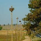 Storch Reihenhaussiedlung