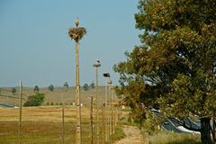 Storch Reihenhaussiedlung