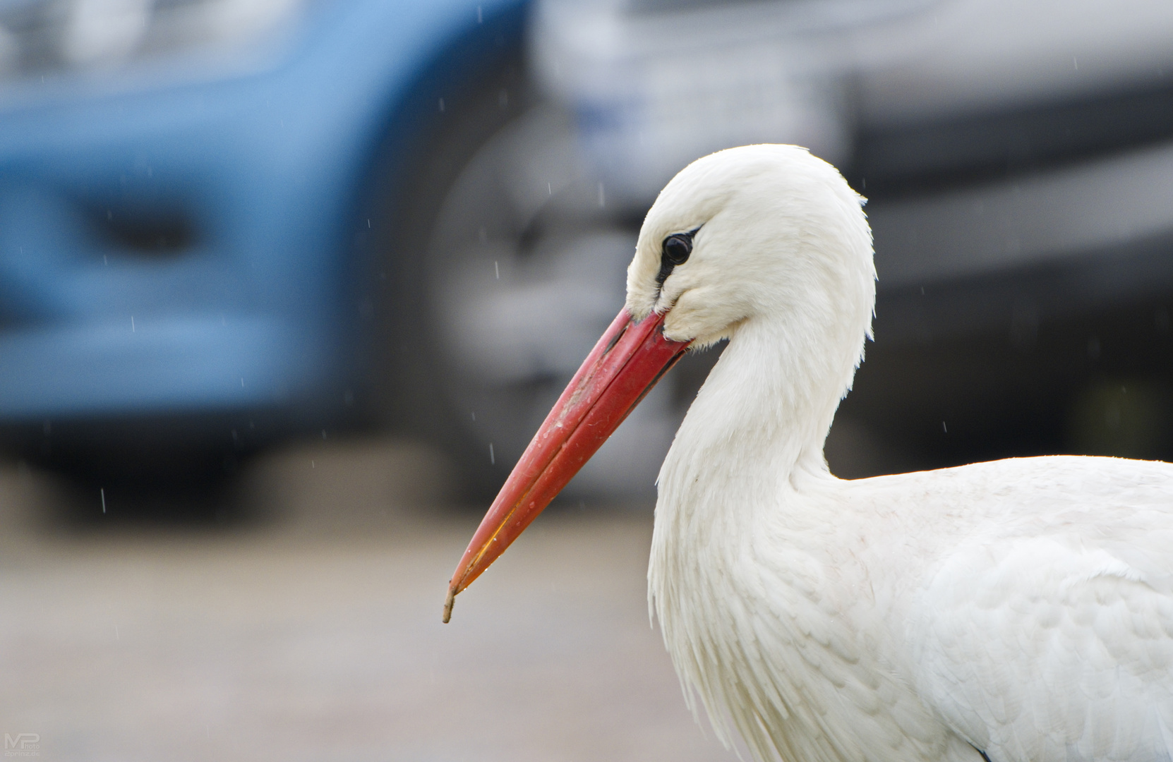 Storch und Technik