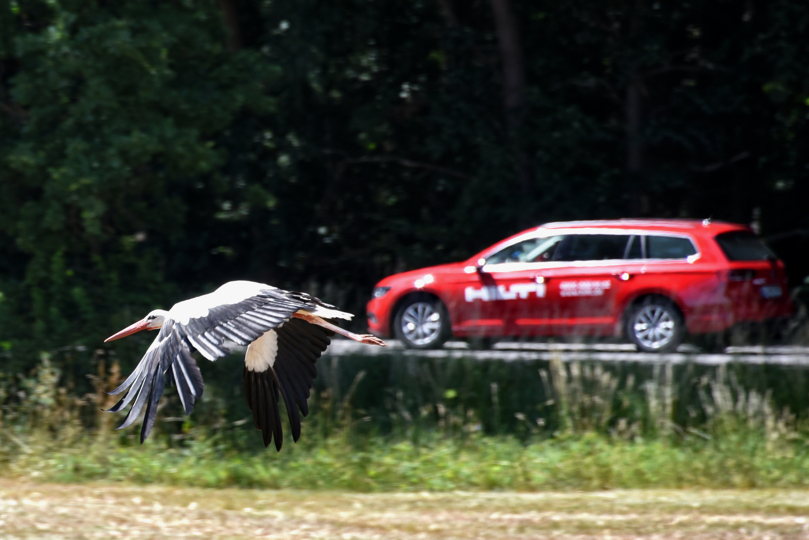 Storch vs. HILTI