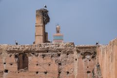 Storchen-Mauer  -  Marrakesch/Marokko