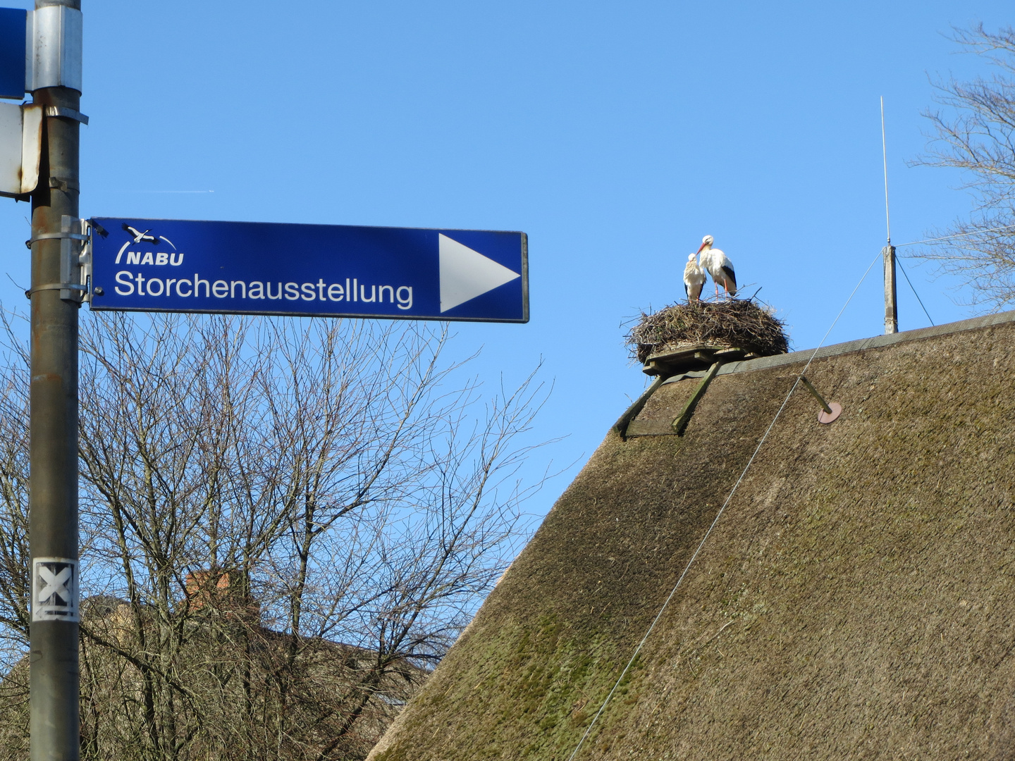 Storchenausstellung