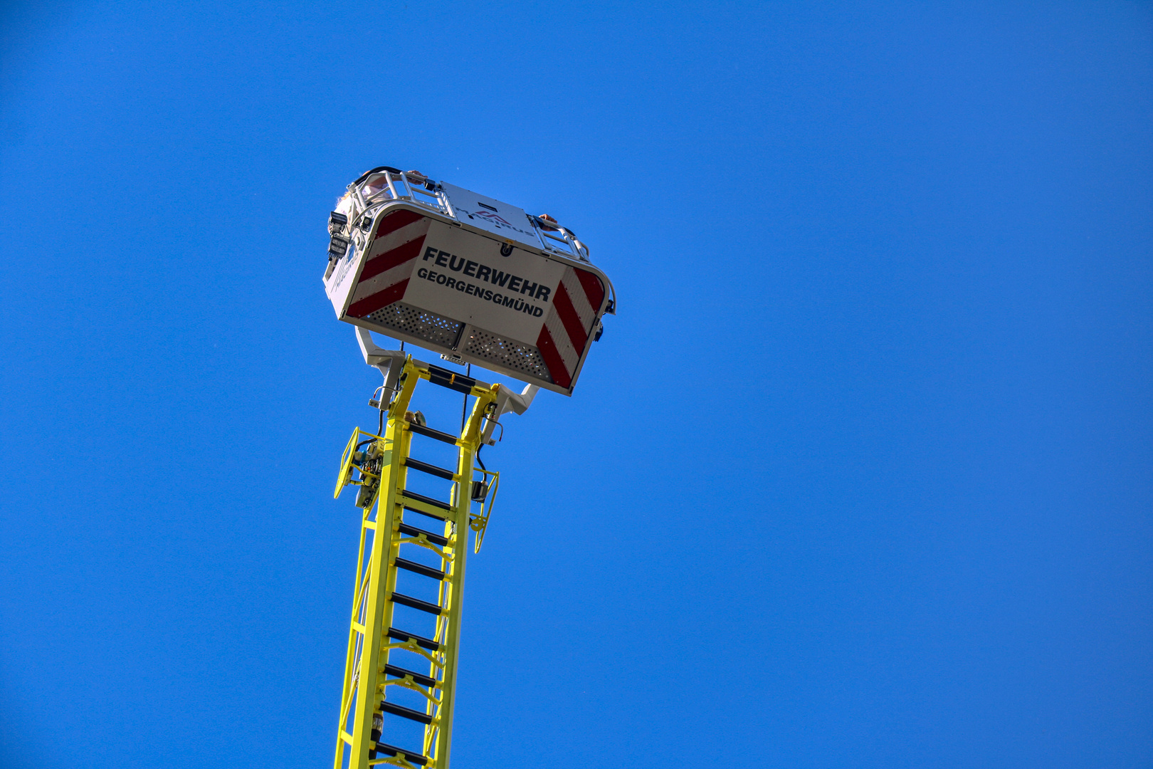 Storchenberingung in Spalt