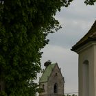 Storchenfamilie in Wilflingen