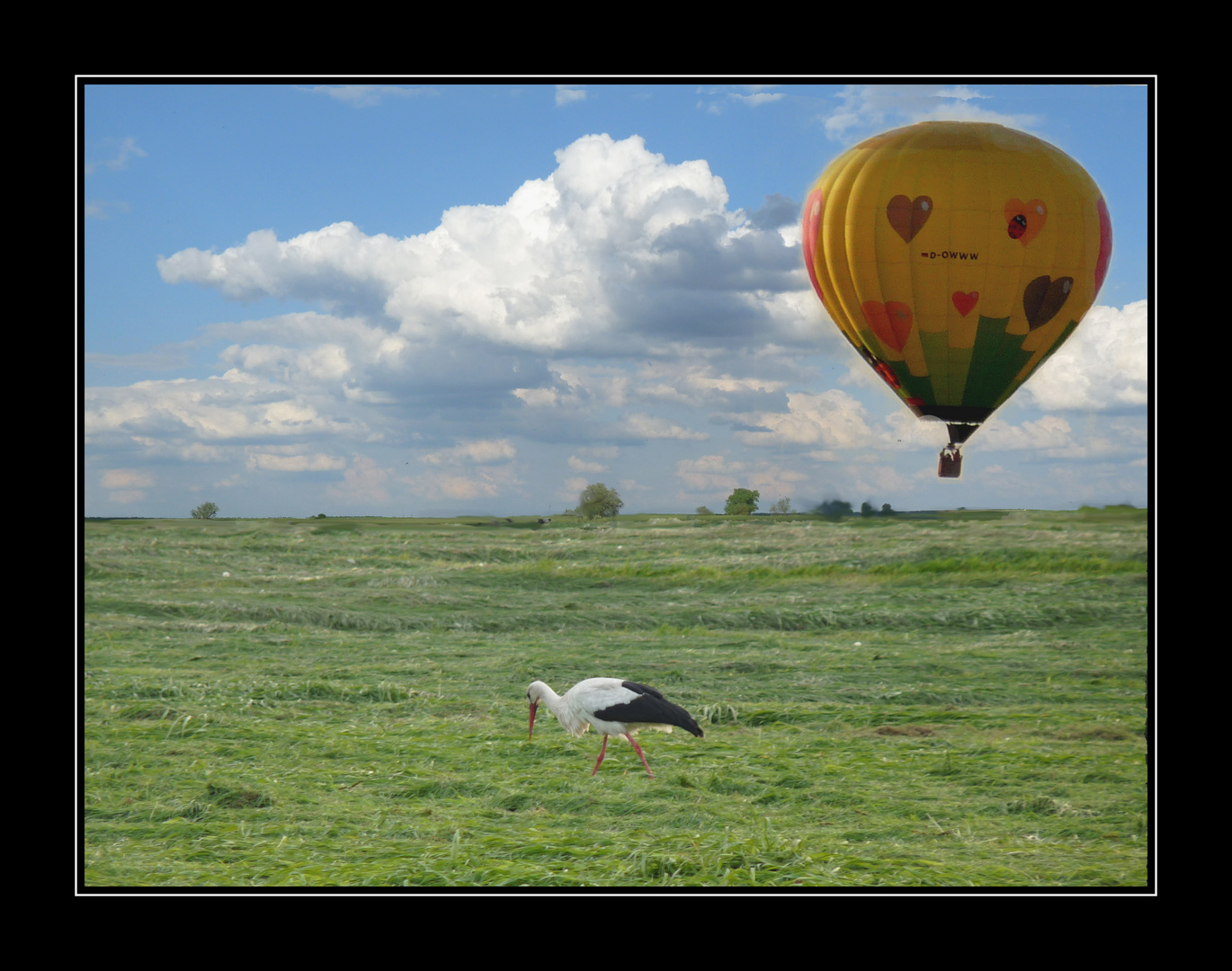 Storchenland Altmark