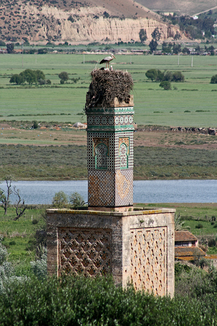 Storchennest