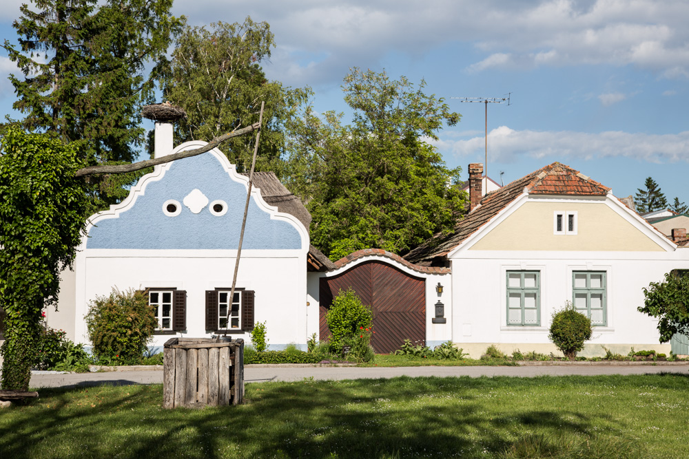 Storchennest auf alten Rieddachhaus