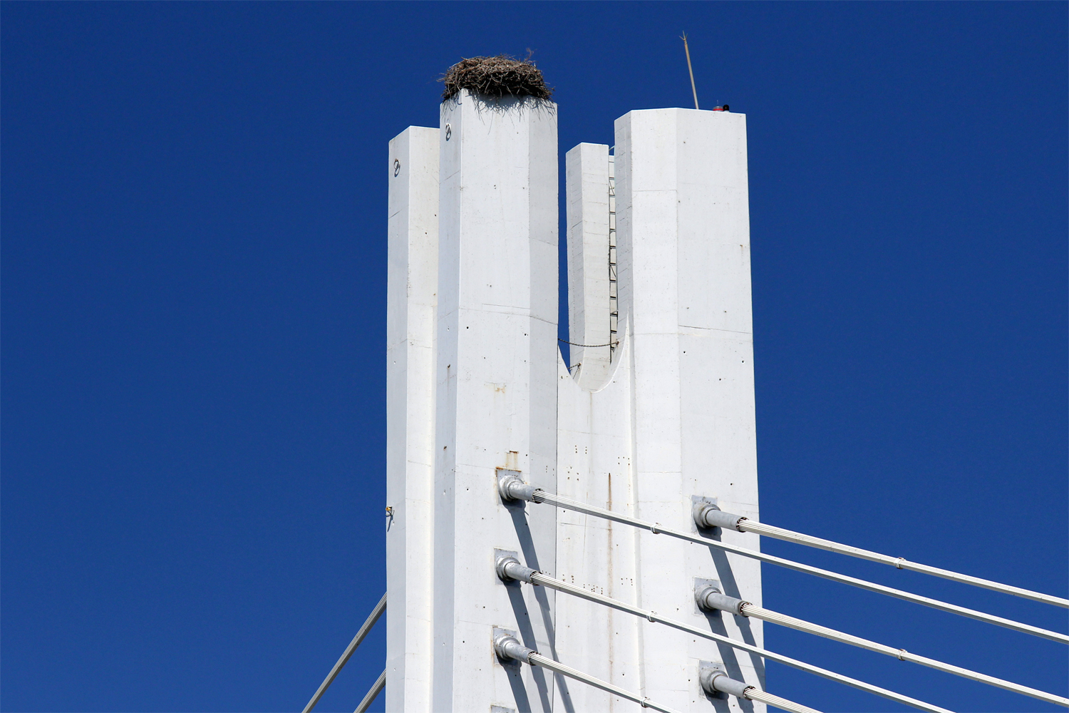 "Storchennest auf dem Brückenkopf der Brücke über den Rio Arade"