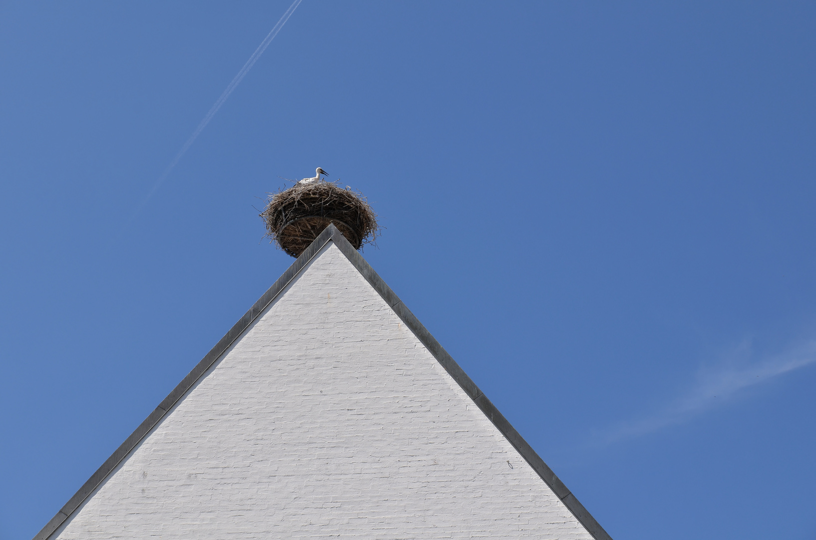 Storchennest auf dem Rathaus, Schrobenhausen, Juli 2014