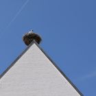 Storchennest auf dem Rathaus, Schrobenhausen, Juli 2014