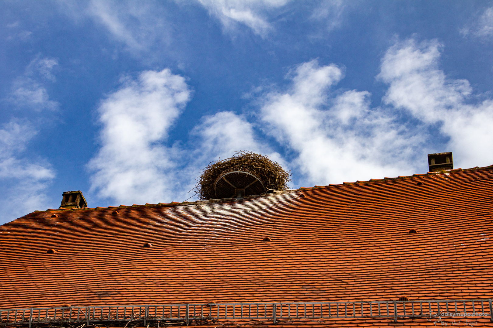 Storchennest