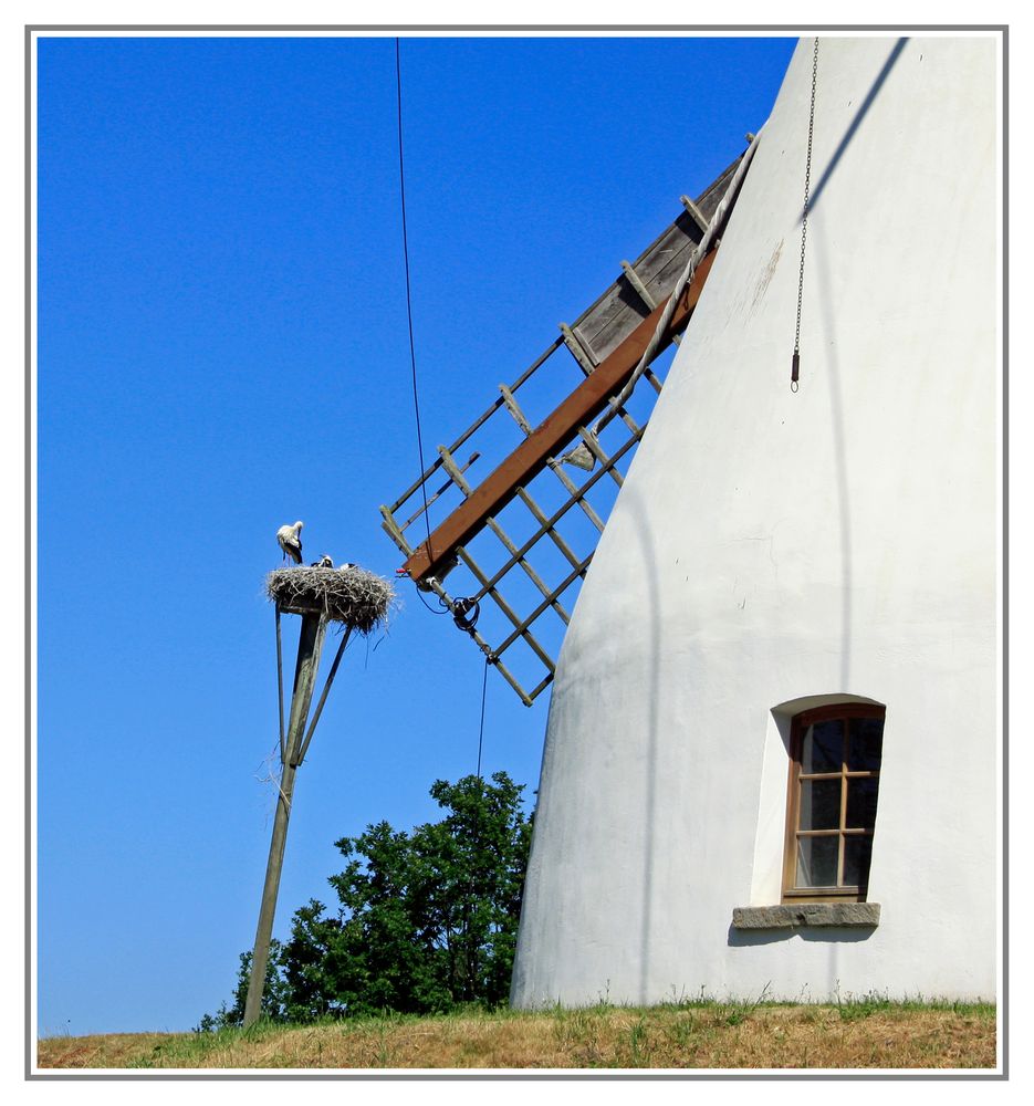 Storchennest neben Heimser Mühle