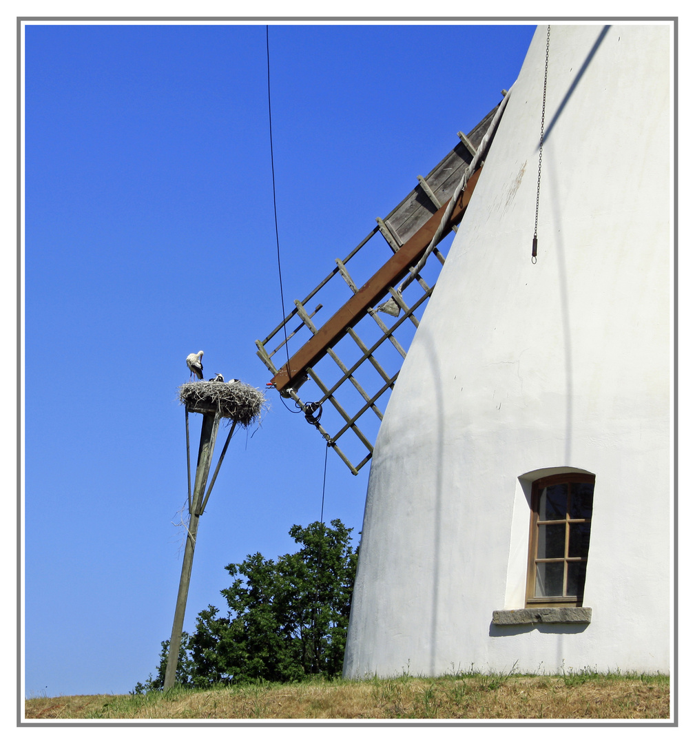 Storchennest neben Heimser Mühle