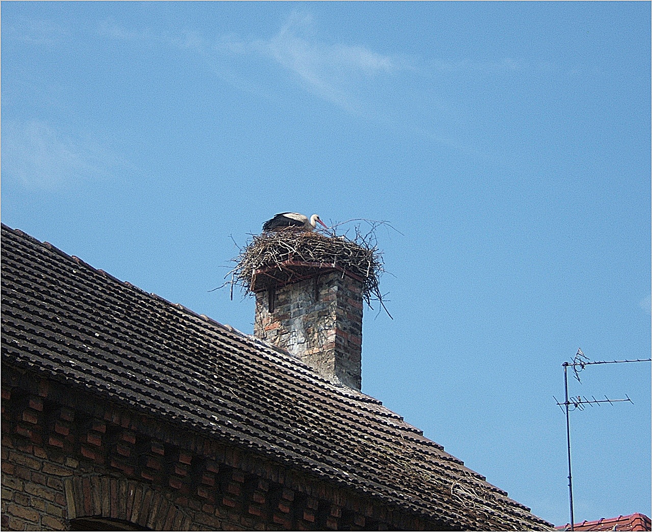 Storchennest Tremsdorf