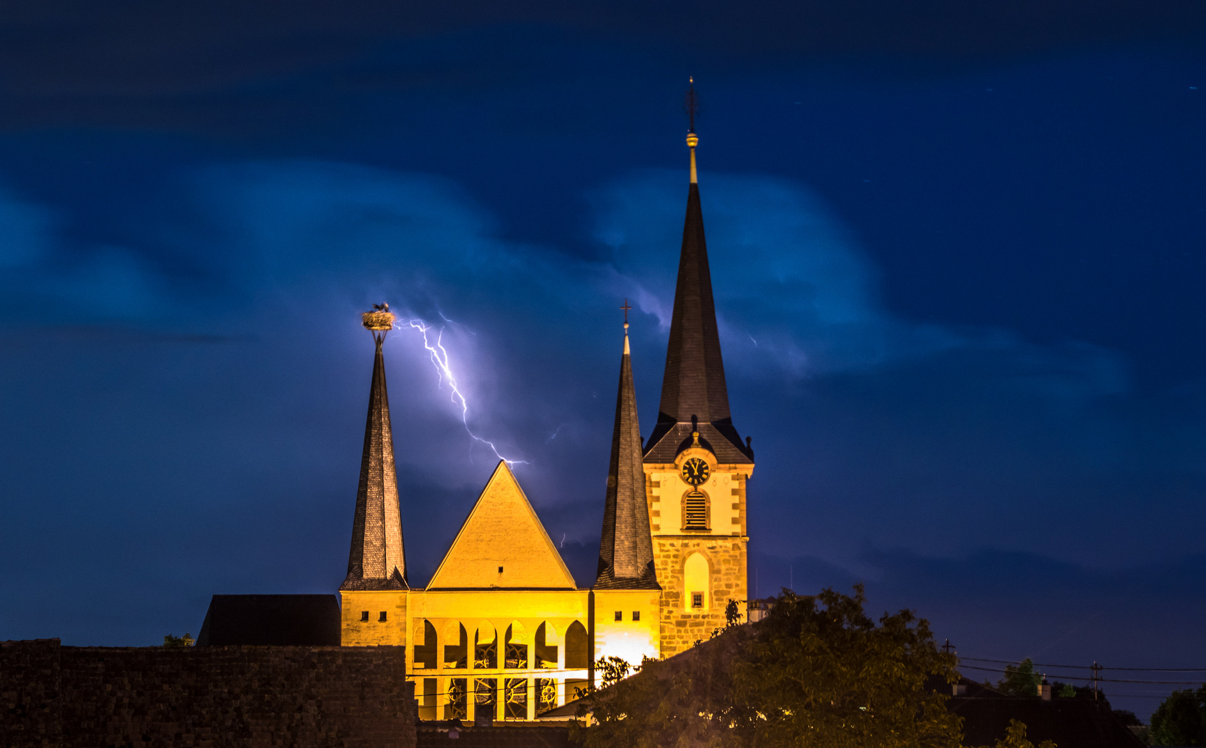 Storchennest unter Strom