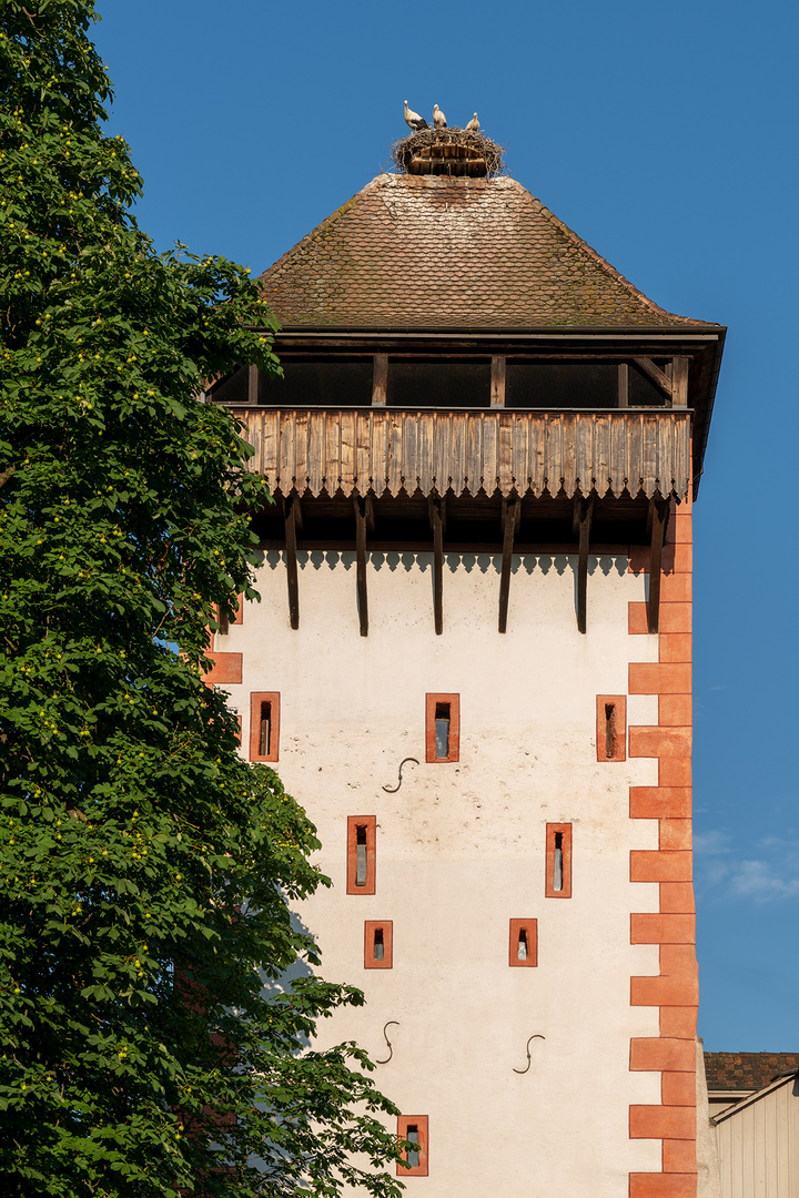 Storchennestturm