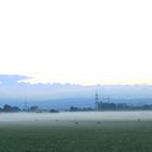 Storchenparade im späten Sommer 22