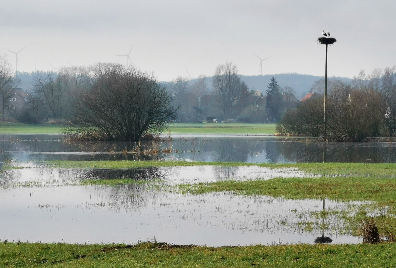 Storchenparadies Nidder-Auen