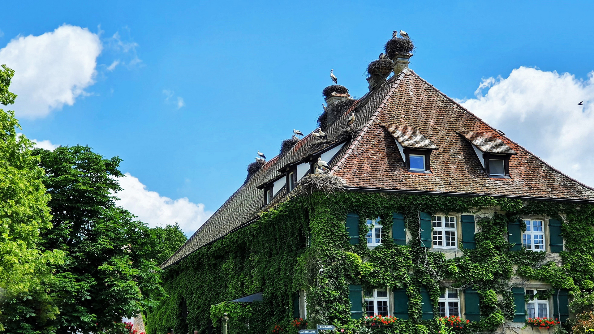 Storchenstation in Salem am Bodensee