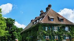 Storchenstation in Salem am Bodensee