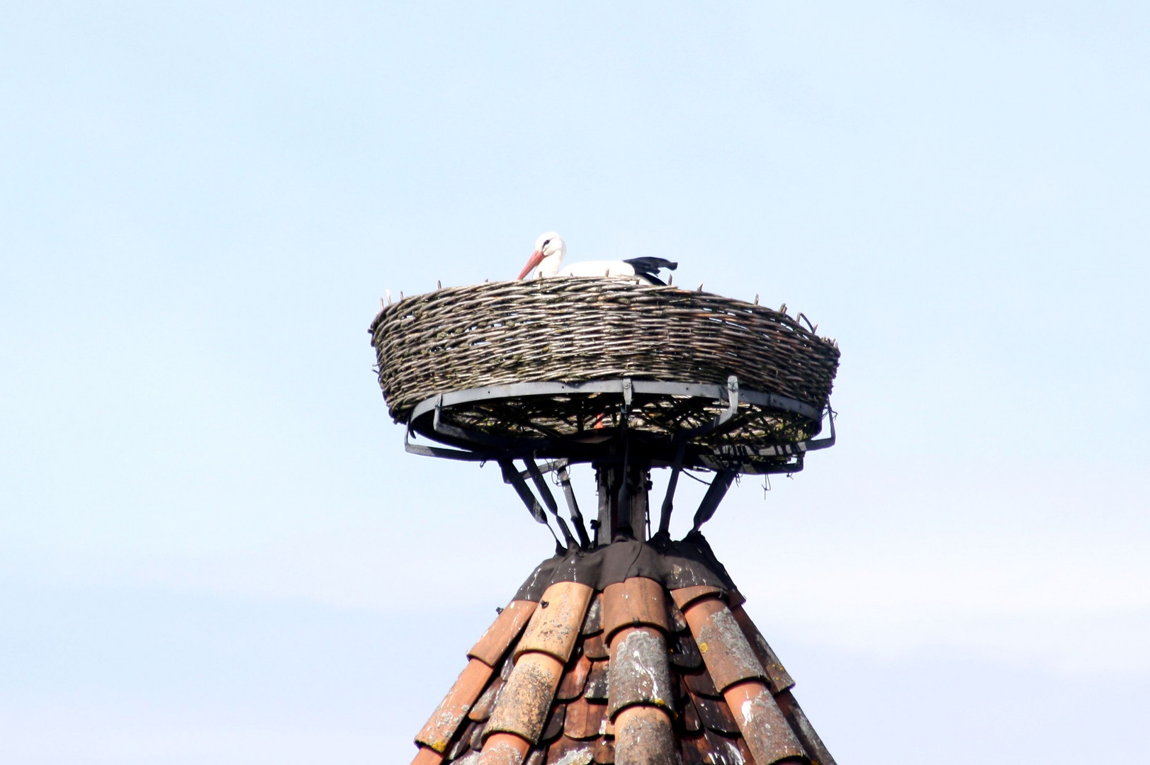 - Storchenturm Lahr -