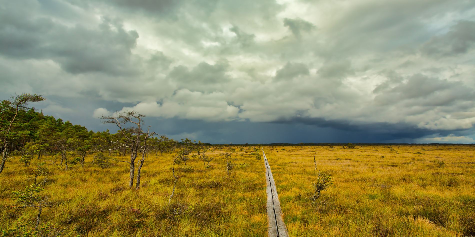 Store Mosse Foto & Bild landschaft, moor, schweden Bilder auf