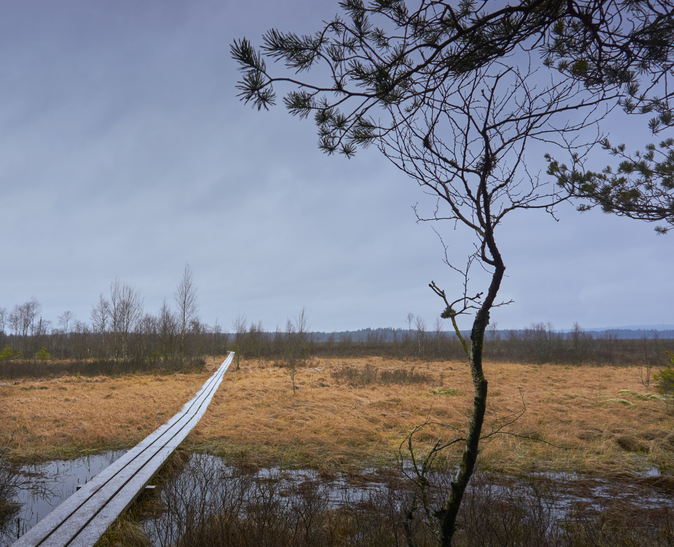 Store Mosse National Park, Schweden