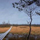 Store Mosse National Park, Schweden