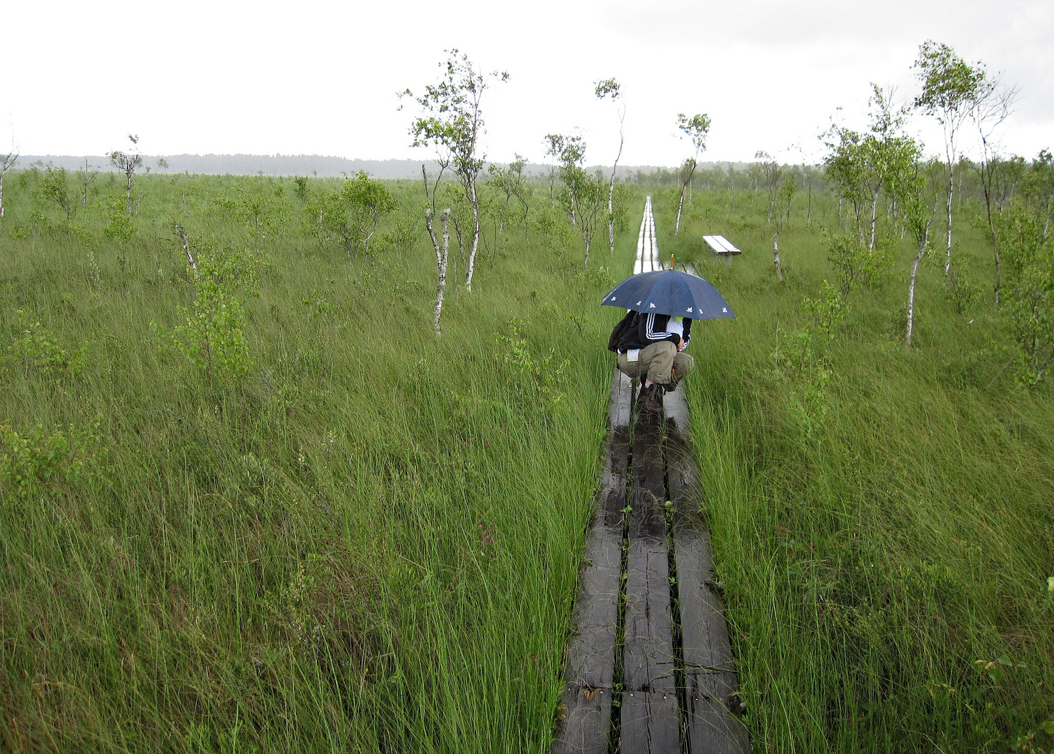 Store Mosse Nationalpark 