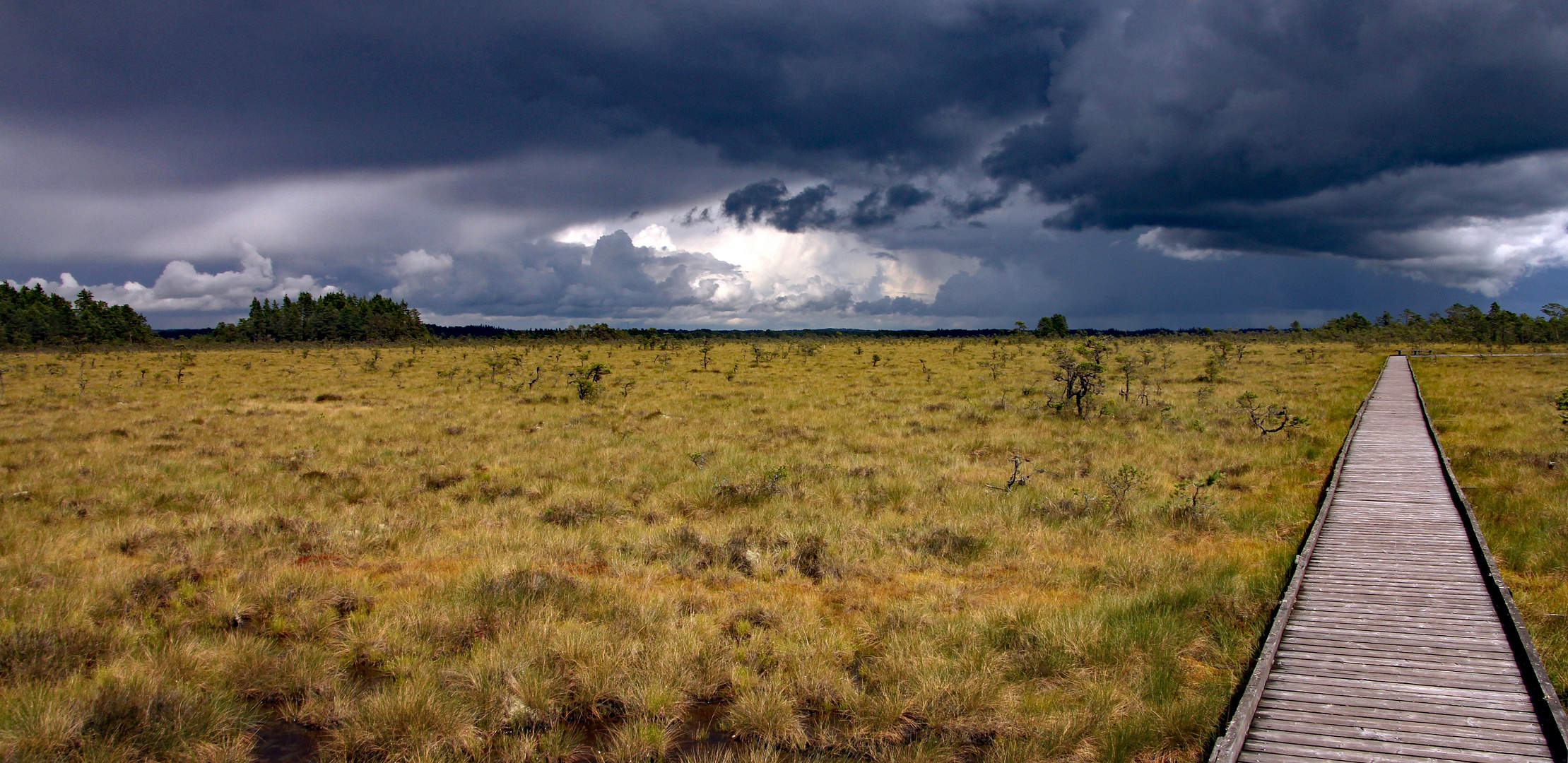 Store Mosse Nationalpark.