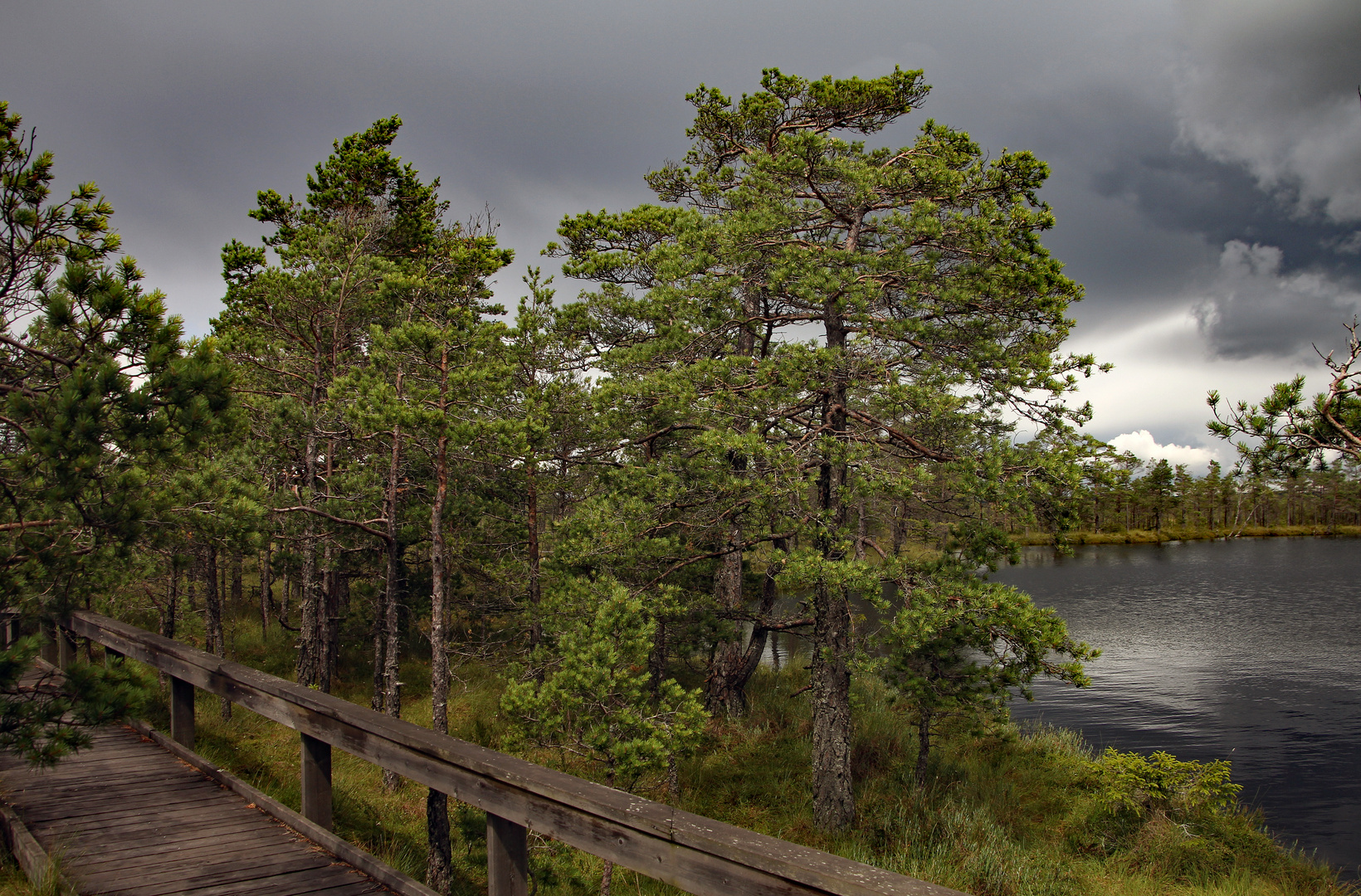 Store Mosse Nationalpark 