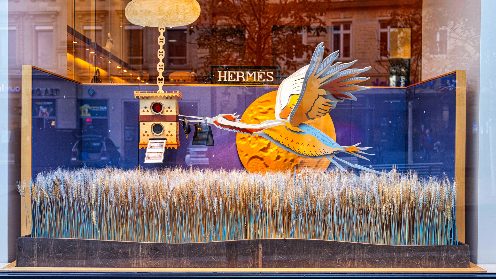 Store Window_08