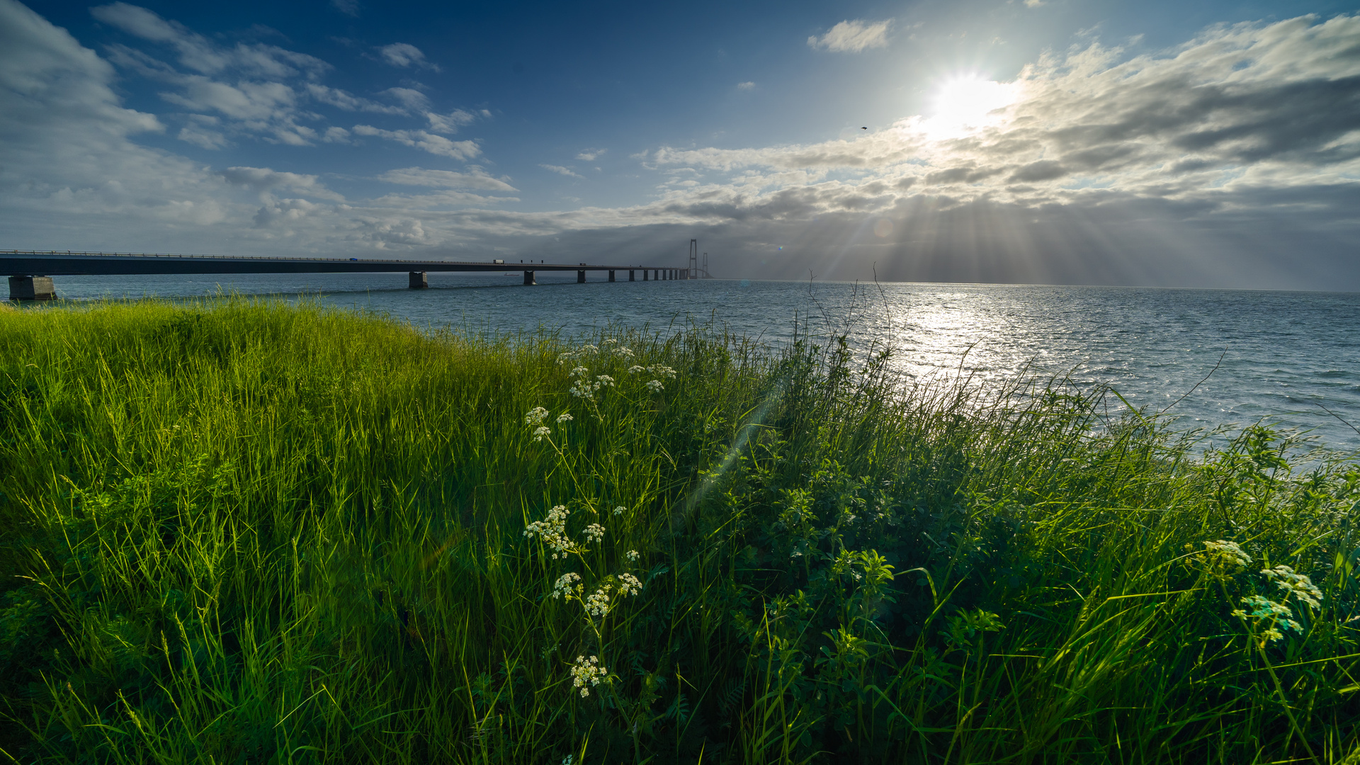  Storebæltsbroen 