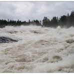 Storforsen #3