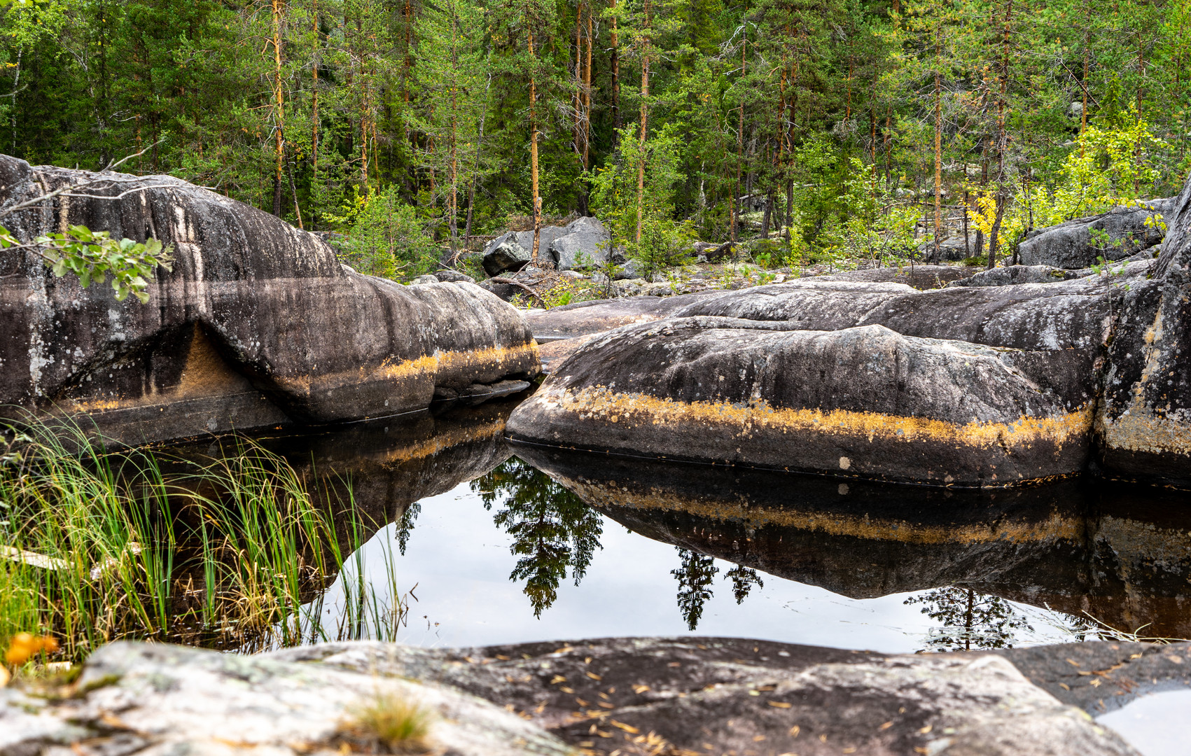 Storforsen Naturpark