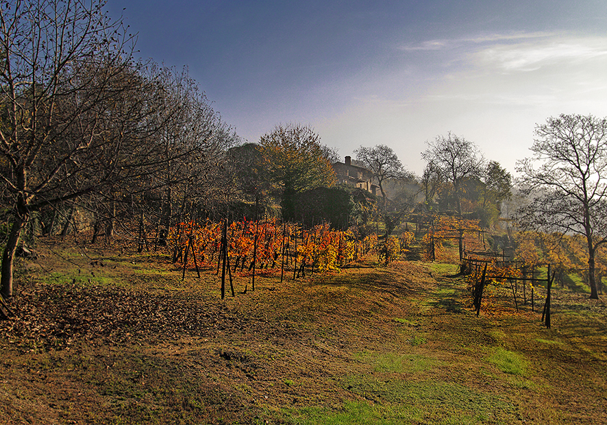 STORIE D'AUTUNNO