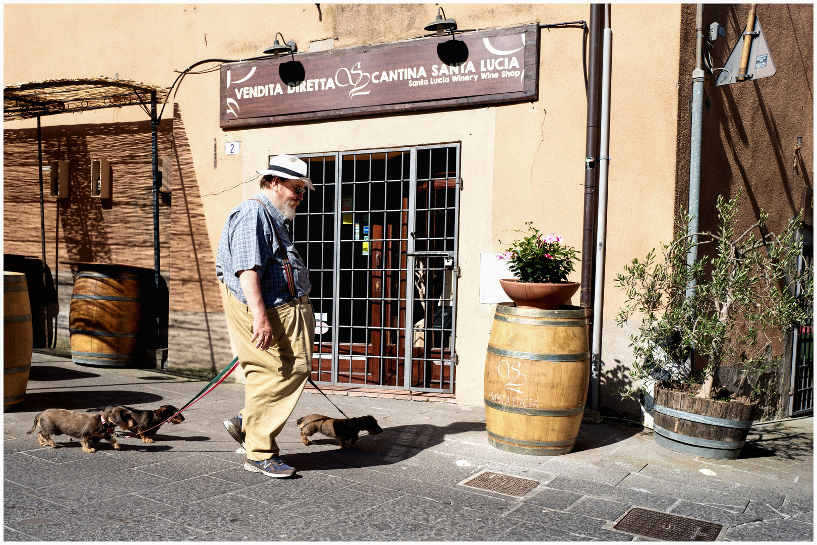 Storie di cani a colori della Maremma