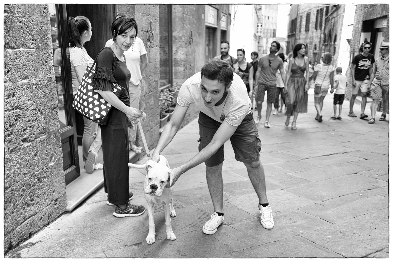 Storie di cani da Siena