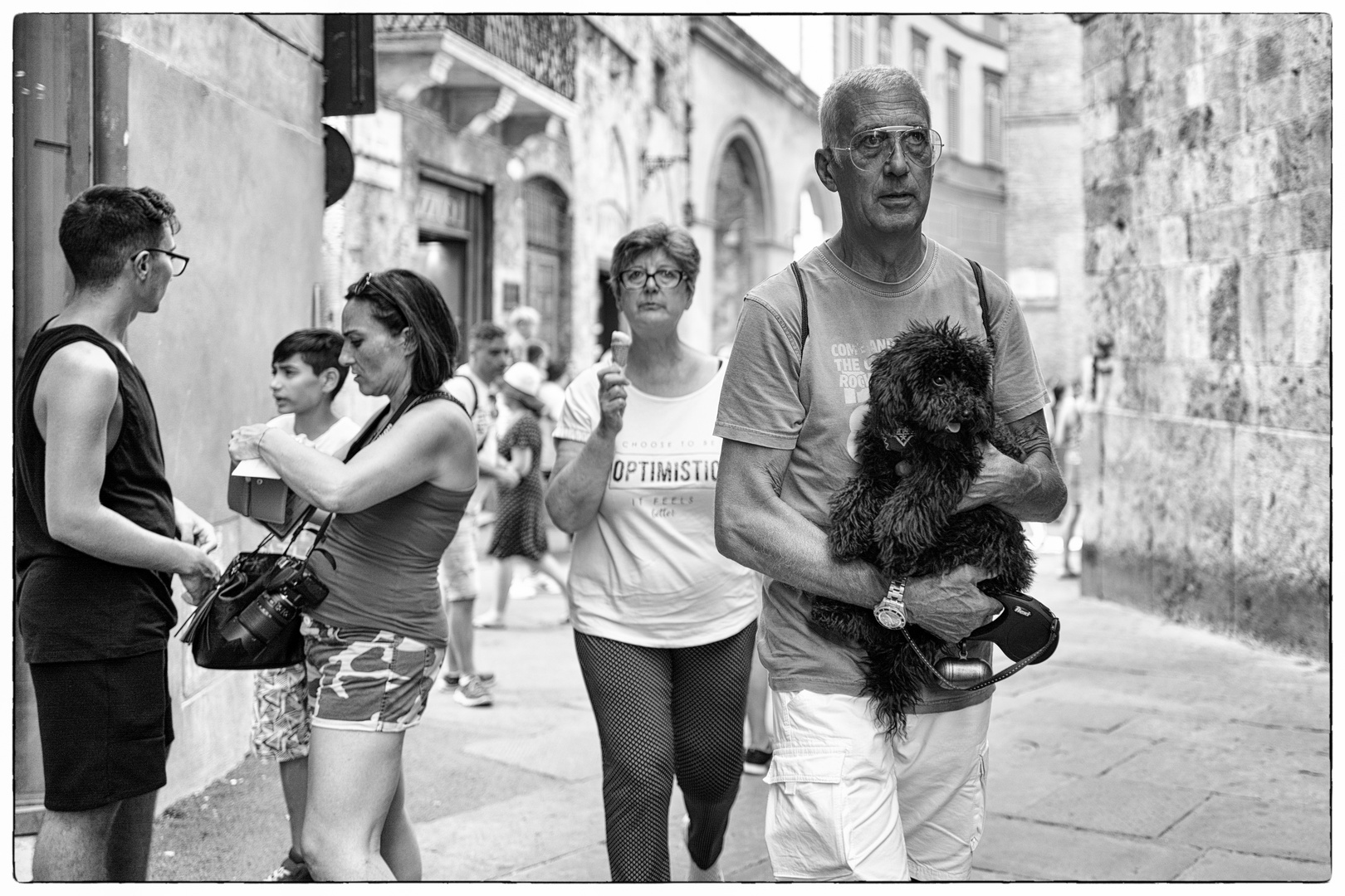 Storie di cani da Siena II