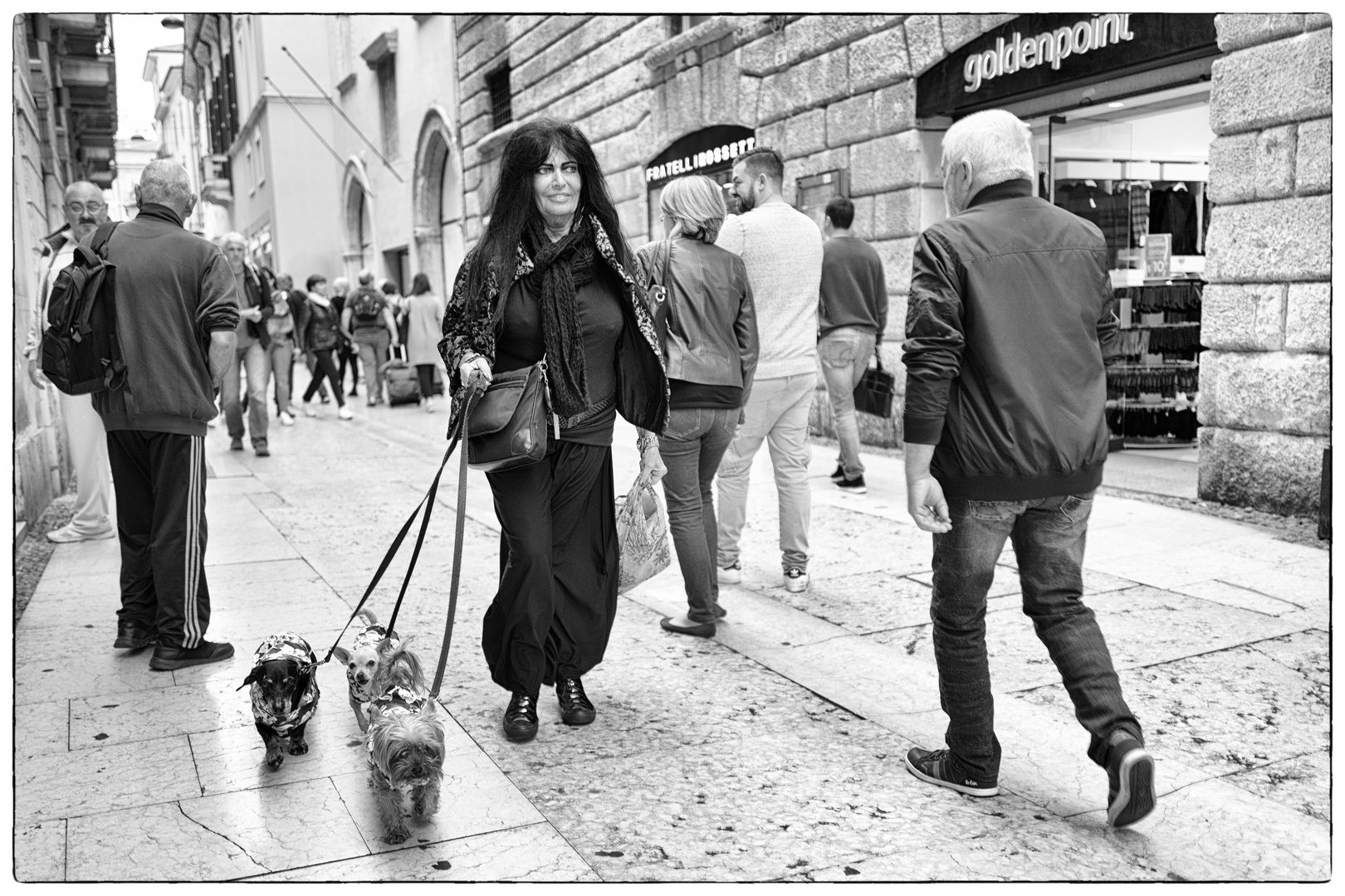 Storie di cani da Verona I