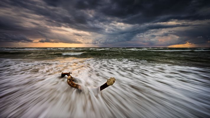 [stories from the sea...]