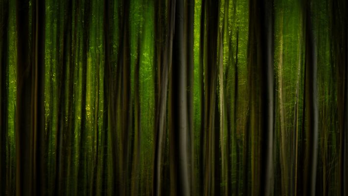 [stories from the sea...]