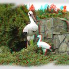 Storks