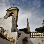 Storks nests