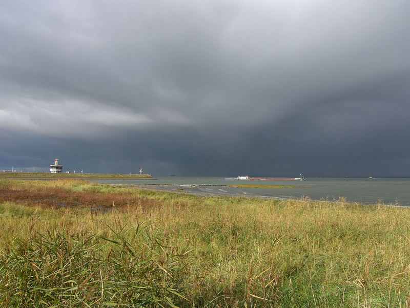 Storm at sea