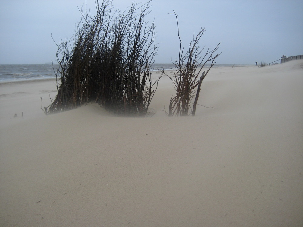 storm at the beach