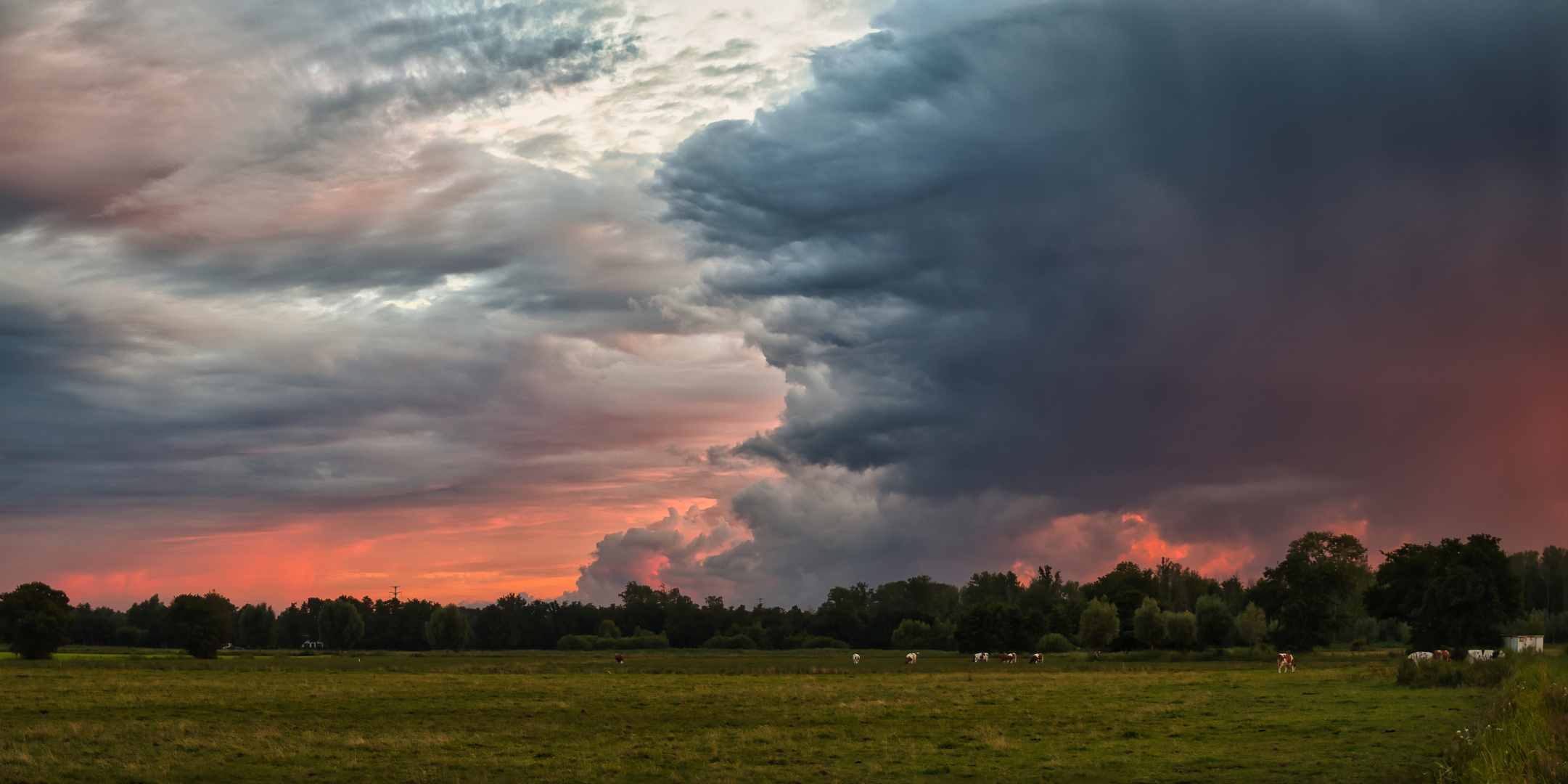 "Storm Clouds"